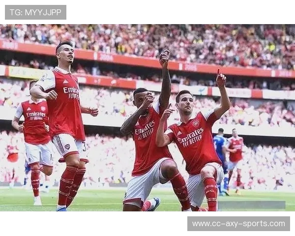 阿森纳迎战劲敌展开新一轮英超激战 球迷期待精彩表现与胜利冲击